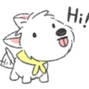 디스크독연구소 이미지
