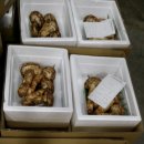 중앙도매시장 이미지