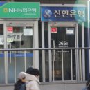 넉넉 이미지