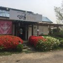 안골보리밥 이미지