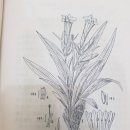 북경백침당한의원 이미지