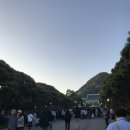 밤마실 | 청와대 개방 관람 예약, 야간개방 | 청와대 밤마실 후기