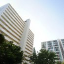 목련마을 이미지