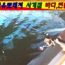 자유로낚시터 이미지