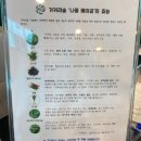 진부도서관 | [평창 반값여행] 거커리숲 - 건강한 삼잎국화베이글과 마더덕주스가 있는 평창 대형 카페 후기