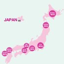 미리 저장해 둘 국내 벚꽃 명소, 일본 벚꽃 명소 총정리 이미지