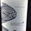 삼학도광교점 | 수원 광교 내돈내먹 도다리쑥국 삼학도에서 제철음식 먹고온 추천 후기