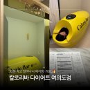 여의도 | 여의도칼로리바후기 , 급찐급빠 관리 영등포다이어트 칼로리바 체지방 -700g