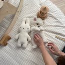 코모네 펫하우스 이미지