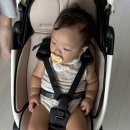 미로당 | 미마 미로 휴대용 유모차 후기, 가볍고 휴대까지 편한 외출 필수템