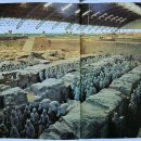 진시황제 지하대군단(세계의 제8기적) 이미지