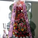 안중탁구클럽