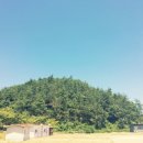 선소로4 네이버블로그