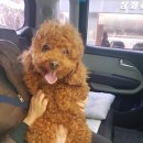 (주)온누리메디칼 이미지