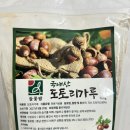 들꽃팜