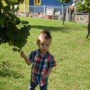 아인농장 이미지