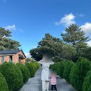 세화어린이집 | 12월 31개월 아기랑 제주여행 제주 식당 추천