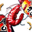 의정부창조의아침미술학원