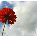 급~~번개~ 2020년8월17일(월) 휴일 개화산 주변 산책하듯 걷기^^ 이미지