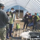 일산자두골마을 이미지