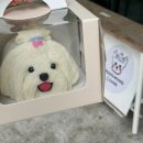 멍멍앤쿡 이미지