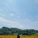 백석역 자전거 주차장(쉘터형) | 공주 1박2일 여행코스 공주근교 2일차 - 미르섬자전거 공주계곡 연미산자연미술공원 새이학가든 공주가...