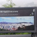 신사와나무 이미지