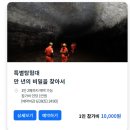 거문 | 25년 세계유산축전, 제주거문오름 특별 탐험대 리얼후기