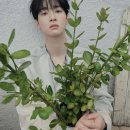 청춘의 얼굴과 스릴러 속 눈빛을 오가는 배우 '장동윤'의 바자 9월 화보 공개! 이미지