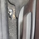 인동31길-4 이미지