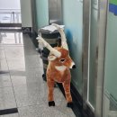 사근동주민센터 이미지