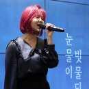 솔비커피숍 오마이뉴스