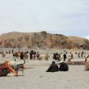 몽고반점 이미지