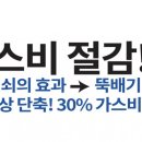 오즈캠핑 이미지