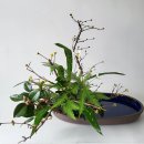 일일시호일 이미지