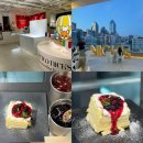 [서울/강남] 강남 루프탑 대형 카페, 티라미수 맛있는 카페 &#39;셀렉티드닉스&#39; 후기