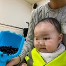 호랑이배꼽마을 | 9개월 아기 문화센터 수업 참여 후기 아이좋아콩콩콩 위니베베 배꼽친구 풀잎아이오감놀이 토리토리오감...