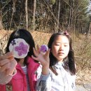 안화초교 이미지