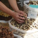 단군한의원 이미지