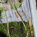 임종집농장 이미지