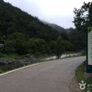 플라이덕 이미지