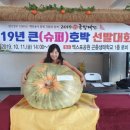 용산-110 이미지