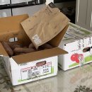 종규농장 이미지