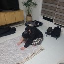 세라의 작은정원 이미지