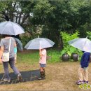 자연유치원 이미지