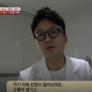 노원N동물의료센터 이미지