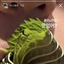 포토이즘컬러드서산