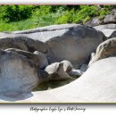 영월통로 이미지