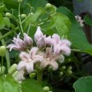 장현3리 이미지