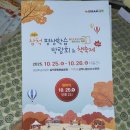평생학습 꽃바람떡 | 삼척 평생학습관 축제 &amp; 책 축제 다녀왔어요